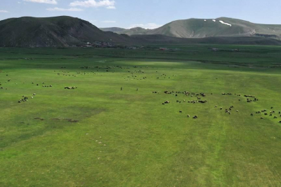 Bakanlıktan Kars'taki "mera yasağı" iddialarına yalanlama