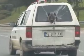 Bursa'da köpeğin komik anları kamerada