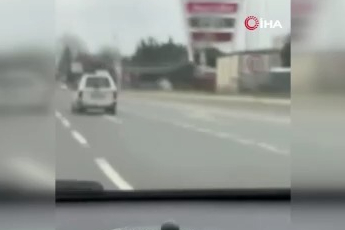 Bursa'da köpeğin komik anları kamerada