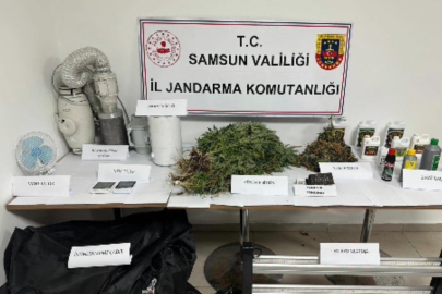 Samsun'da jandarmadan evde kenevir operasyonu