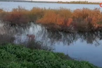 Bursa Karacabey'de şüpheli ölüm!