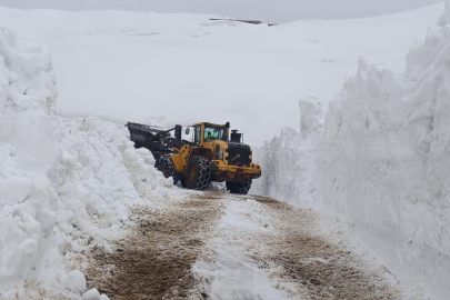 Hakkari'de 46 yerleşim yolu ulaşıma kapandı