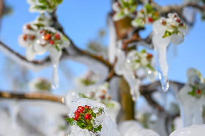 Meclis'te kurulan Zirai Don Olayını Araştırma Komisyonu raporunu tamamladı