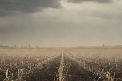 Çernobil'in yasaklı bölgesinde tarım yapıldığı ortaya çıktı