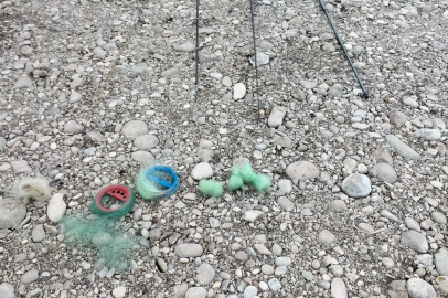 Elazığ'da kaçak balık avlayanlara operasyon