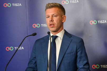 Macaristan'da ilk sonuçlara göre seçimi muhalefet lideri Peter Magyar kazandı