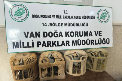 Van'da keklik avlayan şahsa 86 bin 278 lira para cezası