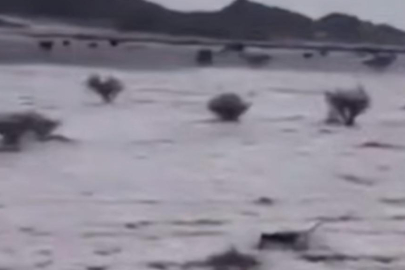 Suudi Arabistan’da çöller dolu yağışıyla beyaza büründü