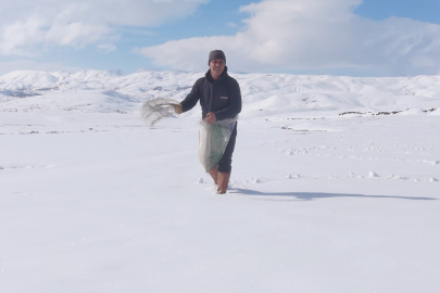 Karla kaplı tarlaya yonca ekti