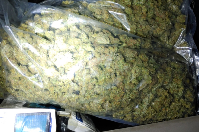 Avokado ve mango arasına gizlenen uyuşturucular yakalandı