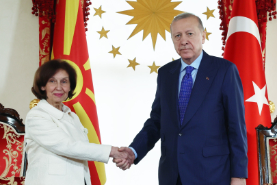 Erdoğan, Kuzey Makedonya Cumhurbaşkanı Davkova ile görüştü