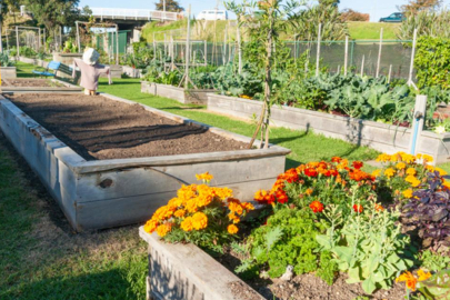 Hobi bahçeleri: Erdoğan talimat verecek! Onlara yaptırım yok...