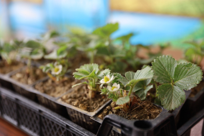 Bursa'da çiftçilere eğitim desteği