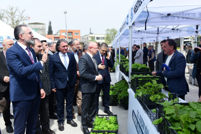 Bursa Kestel'de üreticiye 6 bin ahududu fidanı desteği