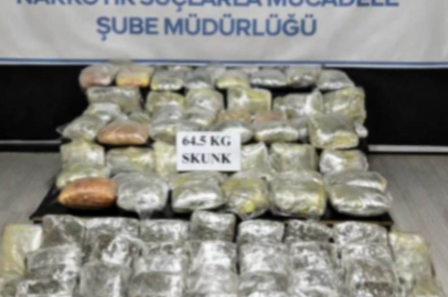 Hakkari'de 64,5 kilogram skunk ele geçirildi