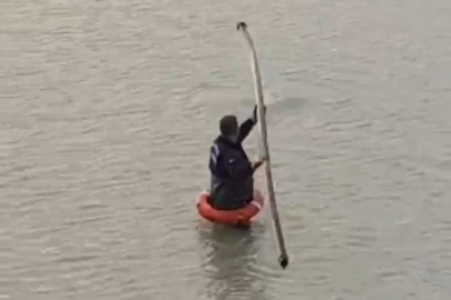 Şanlıurfa'da yapay gölette mahsur kalan tilkiyi itfaiye kurtardı