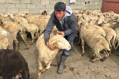 Bursa'da kurban bereketi düğün ve bebek sevincine dönüştü