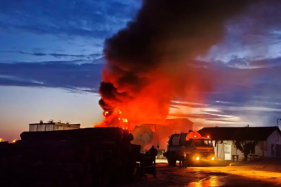 Edirne'de kereste fabrikasında yangın çıktı
