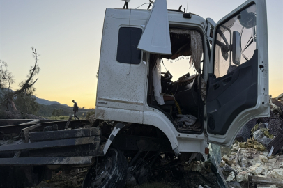 Mersin'de freni boşalan sebze yüklü TIR ağaca çarparak durabildi