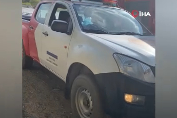 Bursa'da mahsur kalan pelikan nefes kesen operasyonla kurtarıldı