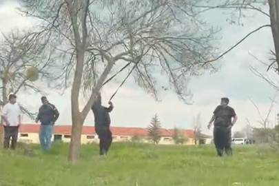 Eskişehir'de ‘mangal için ağaç dalını kırmaya çalıştılar' iddiası