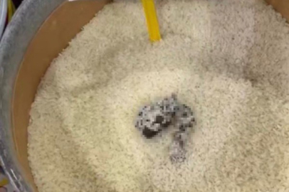 Mersin’de skandal görüntü: Pirinçten kedi dışkısı çıkan markete ceza