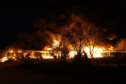 Samsun'da muz deposunda yangın: Alevler göğe yükseldi