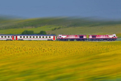 TCDD otla mücadele kapsamında tren yollarında ilaçlama yapacak