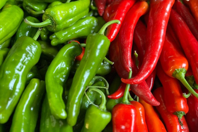 Biber ihracatının yüzde 74'ü Batı Akdeniz'den