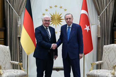 Cumhurbaşkanı Erdoğan, Almanya Cumhurbaşkanı Steinmeier ile görüştü