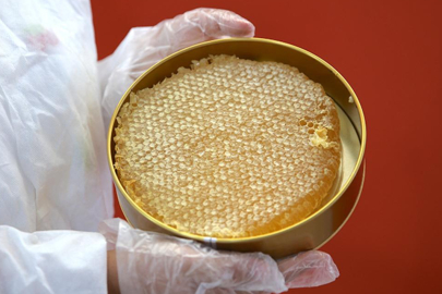 Balda sahteciliğe yeni önlem: Temel petek düzenlemesi geliyor!