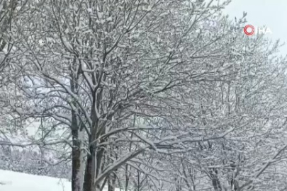 Bursa'da nisan sonunda Uludağ’da kış geri döndü! Kar kalınlığı 1 metreyi buldu