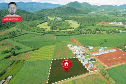 Bursa Görükle’de arsa satışa çıktı! 4,1 milyonluk fırsat: Boş arsa, avlulu ev...