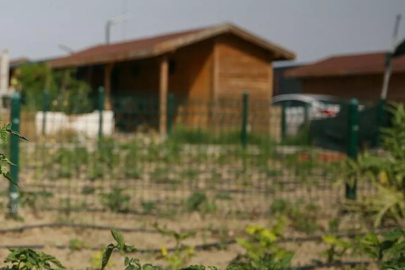 Hobi bahçeleri'nde yeni düzenleme gündemde!