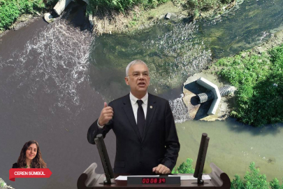 Bursa’da Nilüfer Çayı alarm veriyor! Meclise taşındı, bakanlıktan yanıt geldi
