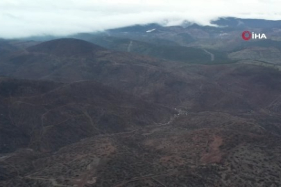 Bursa'da tarihin en büyük orman yangınında yaralar böyle sarıldı