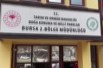 Bursa'da kaçak güme operasyonu!