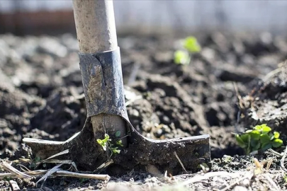 Gübrede yeni karar: İki üründe gümrük vergisi sıfırlandı