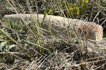 Ankara’da vatandaş mantar ararken patlamamış top mermisi buldu