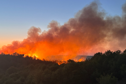 İstanbul Beykoz'da 3 hektarlık alan küle döndü: Yangına müdahale devam ediyor