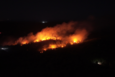 İstanbul Beykoz'da alevler yeniden yükseldi
