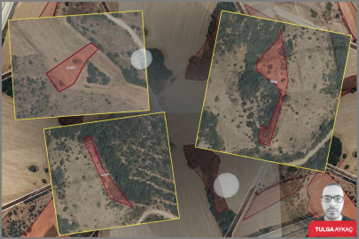 Parsel parsel duyuruldu: Bursa'da çok sayıda tarla satılacak!