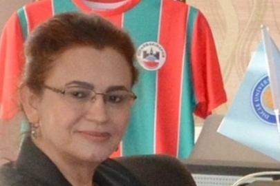 Sınırın ötesinden gelen kurşun profesörü yaraladı