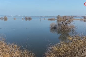 Bursa'da bol yağışlar çeltik ve ikinci ürün yasağını kaldırdı