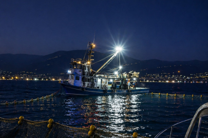 Bursa Gemlik Körfezi'nde sardalya avcılığı başladı
