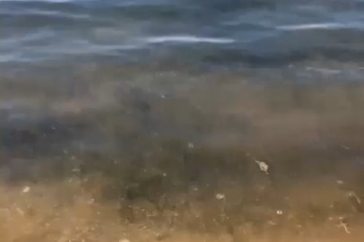 Bursalıları endişelendiren "turuncu" görüntü! Uzman isimden 'müsilaj' uyarısı geldi