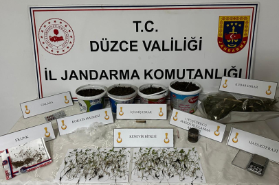 Düzce'de saksıda kenevir yetiştiren şahıs gözaltına alındı