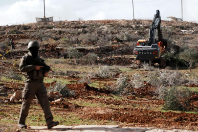 İsrailli işgalciler Batı Şeria'da 400 zeytin ağacını kesti