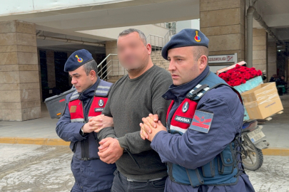 Samsun'da hayvan ticareti dolandırıcılığına tutuklama