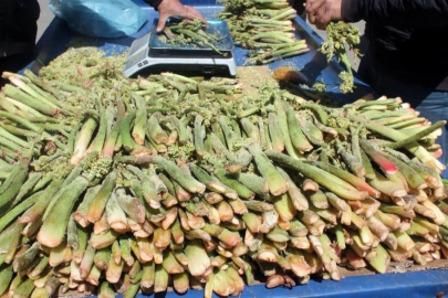 Yüksek rakımın lezzeti ışgın tezgâhlarda